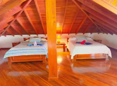 Casa Mariposa — Photo 13