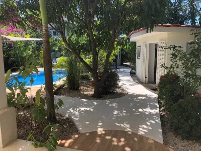 Casa Morpho — Photo 3