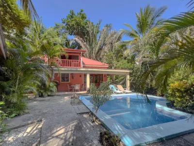 Casa Selva — Photo 10