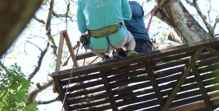Canopy Surf & Superman Zipline — Sámara, Costa Rica