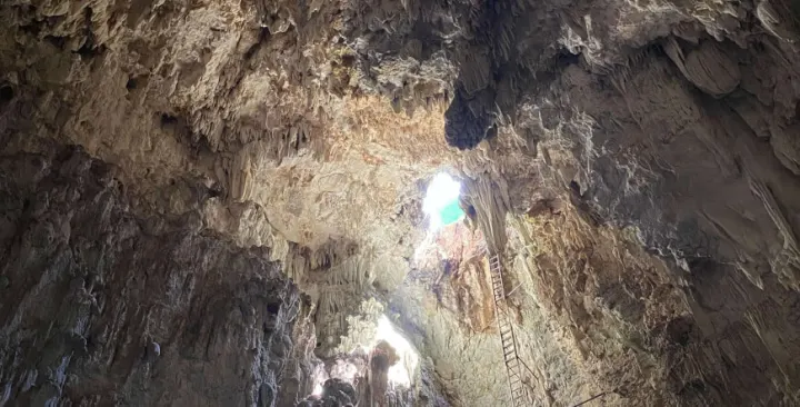 Barra Honda Caves & Dry Forest Hike — Sámara, Costa Rica