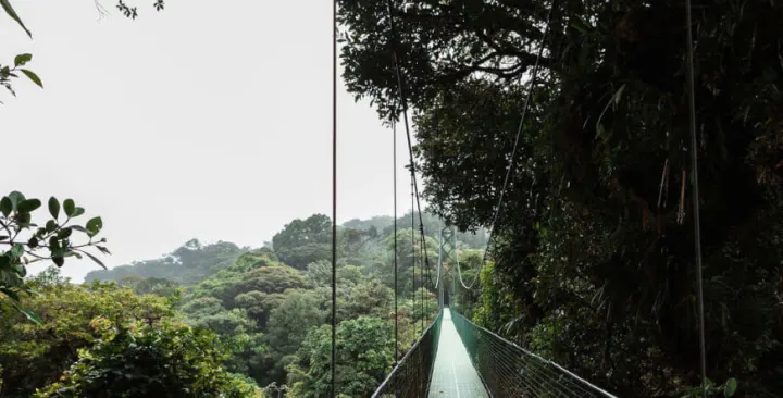 Monteverde Cloud Forest Day Trip — Sámara, Costa Rica