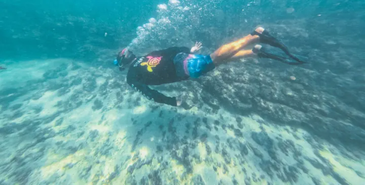 Isla Chora Boat Ride and Snorkel — Sámara, Costa Rica