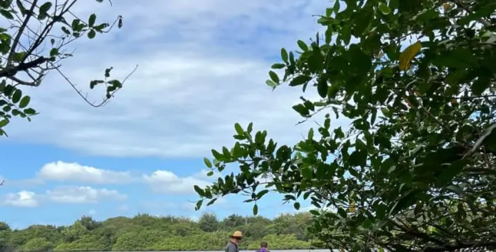 Palo Verde Wildlife Boat Trip — Sámara, Costa Rica