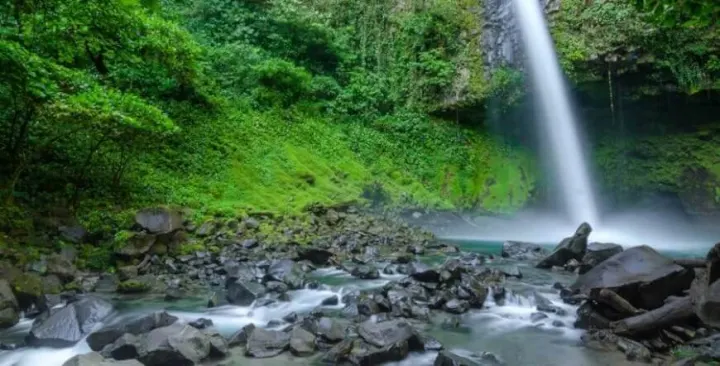 Arenal: Waterfall, Sloths & Hot Springs — Sámara, Costa Rica