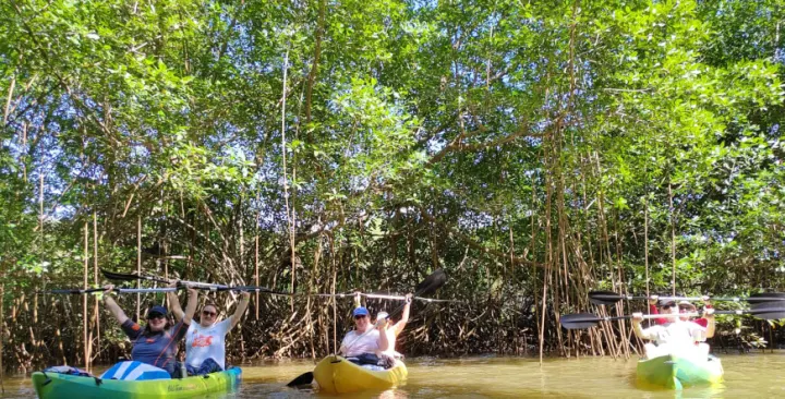 Río Ora Mangrove Kayak — Sámara, Costa Rica